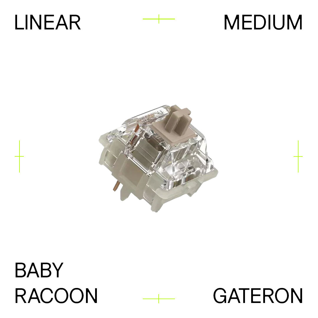 Gateron Baby Raccoon